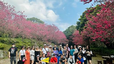 TOUR ĐÀI LOAN - ĐÀI TRUNG - CAO HÙNG - ĐÀI BẮC 5 NGÀY 4 ĐÊM - Image - 4140